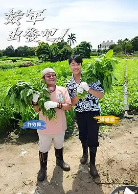 中餐厅 第八季 综艺 2025 王恬